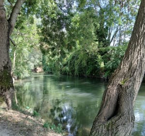 Marais de Bourges - Bourges - 3