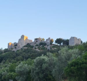 Fons sur Lussan château d'Allêgre - Fons-sur-Lussan - 4