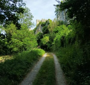 Promenade autour de Angles, l'Anglin - Angles-sur-l'Anglin - 3