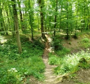 À la croisée des chemins depuis Châteauroux - Châteauroux - 4