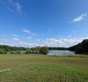 De Vennecy à L'étang de Traînou par Laizeau - Vennecy - 4