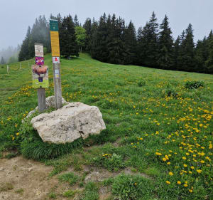 De Molière van de Egauds - Lans-en-Vercors - 5