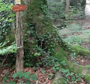 Le rocher qui pleure - Saint-Laurent-du-Pont - 5