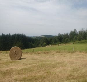 Le bois des Maquisards - Châtel-Montagne - 3