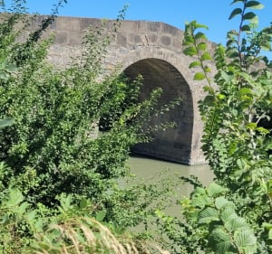 Balade Portiragnes à travers Champs jusqu'au pont de Caylus - Portiragnes - 3