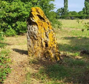 Randonnée du menhir et du dolmen à Aslonnes - Aslonnes - 2