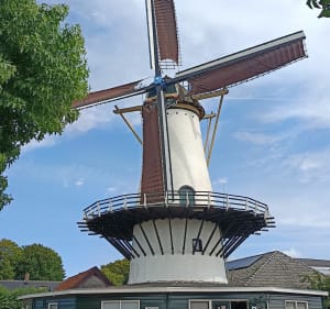 Dordrecht en omstreken - Dordrecht - 3