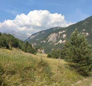 Sentier botanique autour de Bramans. vallée de l'Arc - Val-Cenis - 5
