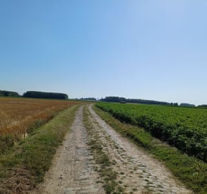 Boucle de Ronge Maulde Rongy - Brunehaut - 3