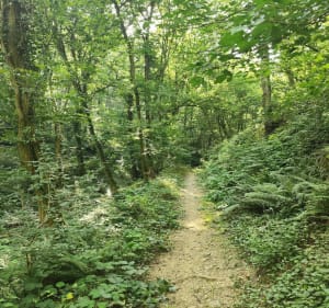 Boucle de Saint Romain en Gier - Saint-Romain-en-Gier - 3