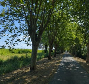 Entre estuaire et vignes - Saint-Julien-Beychevelle - 3