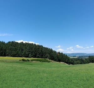 Balade depuis Saint-Just vers le calvaire de Recoux - Val-d'Arcomie - 4