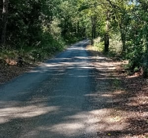Néoules entre village et campagne - Néoules - 3
