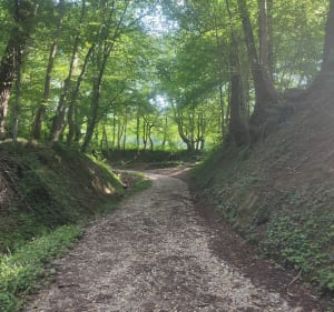 Balade autour du Domaine de Rajat à Heyrieux (38) - Saint-Pierre-de-Chandieu - 4