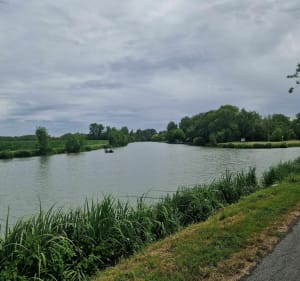 Balade dans le Marais Poitevin depuis Maillezais (avec détour point de vue) - Maillezais - 4