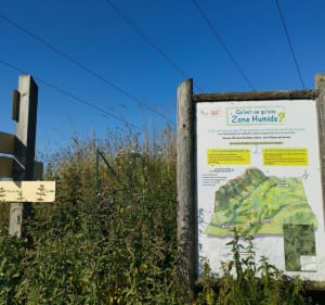 Boucle du plateau des Bornes passage par chez Trosset - Menthonnex-en-Bornes - 5