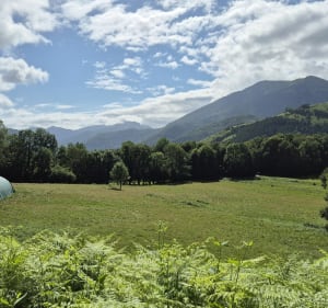 Mont Calem depuis Moncaup - Moncaup - 3