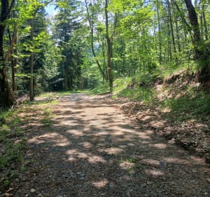 La Chapelotte entre les tranchées de 14-18 (sentier balisé) - Angomont - 4