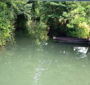 Boucle Coulon - Irleau - La Garette - Coulon - 4