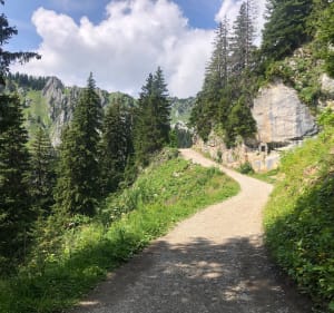 Montée au Lac D’Arvouin - La Chapelle-d'Abondance - 3