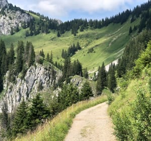Montée au Lac D’Arvouin - La Chapelle-d'Abondance - 4