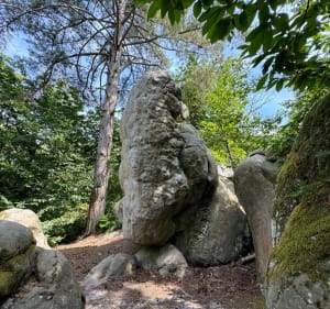 Balade Rocher Du Duc - Champcueil - 3