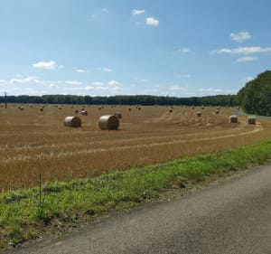 Sortie Gravel au Corgebin - Chaumont - 3