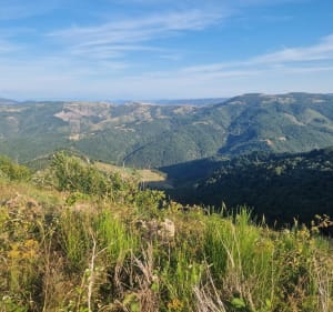 Marche ferme Pays'âne - Saint-Étienne-de-Serre - 2