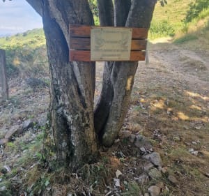 Marche ferme Pays'âne - Saint-Étienne-de-Serre - 4