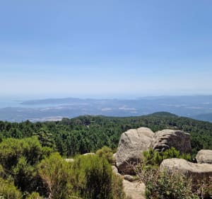 La Punta di a Vacca Morta depuis le refuge de Cartalavone - Porto-Vecchio - 3