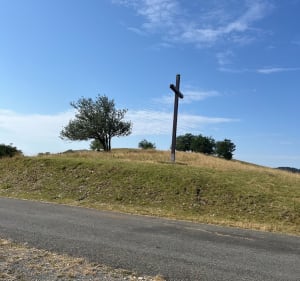 De La Biche (col) à la croix du Colombier - Corbonod - 4