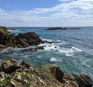 De la ría du Bélon à la ria de Brigneau - Moëlan-sur-Mer - 4