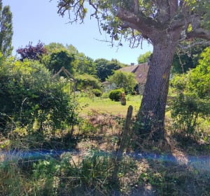 Le bordage et la Ferrière - La Ferriere - 3