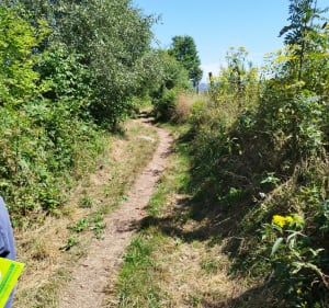 Parcours orientation Chalmazel - Chalmazel-Jeansagnière - 3