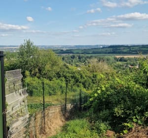La chapelle de Marange et ses vignes - Pierrevillers - 3