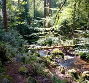 Cascade du Stolz Ablass, sentier des Mulets - Stosswihr - 3