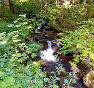 Cascade du Stolz Ablass, sentier des Mulets - Stosswihr - 4