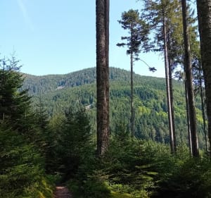 Cascade du Stolz Ablass, sentier des Mulets - Stosswihr - 5