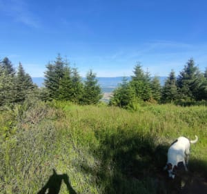 Balade sur les Balcons du Léman par la Tête de Char et Col de Cou - Burdignin - 3