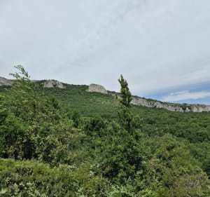 Dent de Rez depuis Saint Vincent - Gras - 5