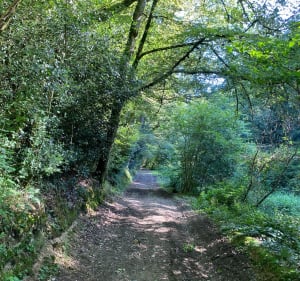 Boucle Le Beny Bocage - Souleuvre en Bocage - 3