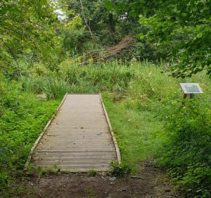 L'étang de Gole via Le Grand Bois - Rochetoirin - 4