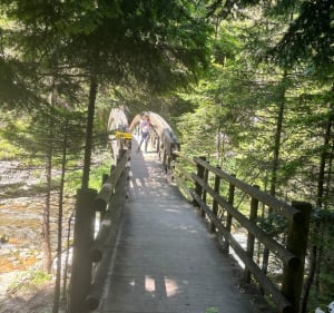 Cirque de Saint Même - Saint-Pierre-d'Entremont - 5