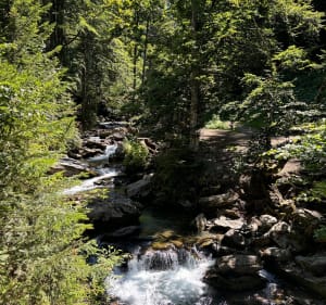Van Morzine naar de waterval van Ardent, via het meer van Montriond - Morzine - 3