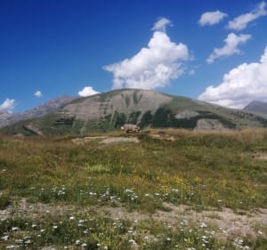 Col de Piégut et col de Maronnes - Sophie - 4