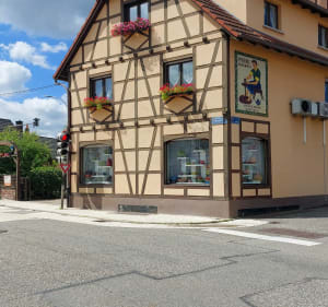 Boucle au Pays Rhénan - Rountzenheim-Auenheim - 5