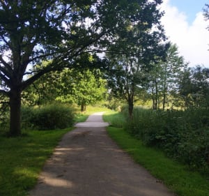 Canal de Seclin - Noyelles - La Canteraine - Santes - 3