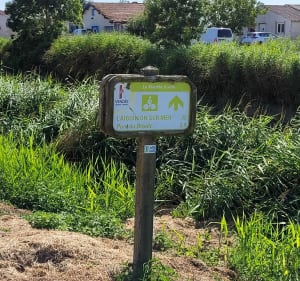 Tour de vélo entre chemin et marais en Vendée sud - Sainte-Radégonde-des-Noyers - 4