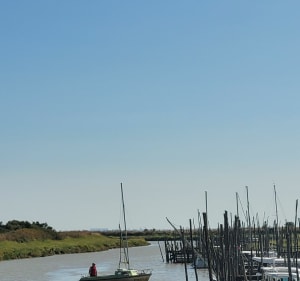 Tour de vélo entre chemin et marais en Vendée sud - Sainte-Radégonde-des-Noyers - 5