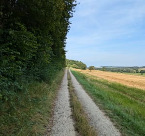 Boucle entre Veckersviller/Weyer et Schalbach - Veckersviller - 3